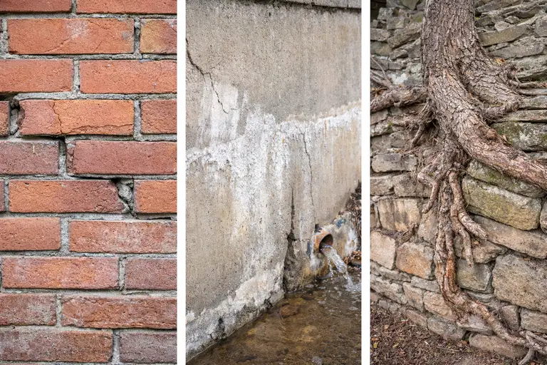 Cracked brick wall, drainage damage, and tree roots affecting retaining walls